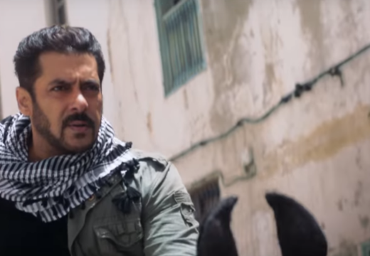 salman khan's tiger zinda hai